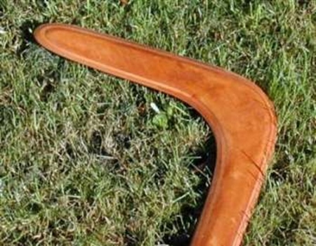 Boomerang Hunting
