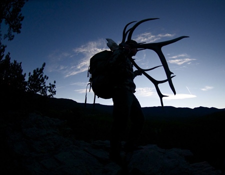 Conservation Organization Transparency and Accountability