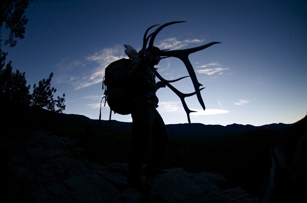 Conservation Organization Transparency and Accountability