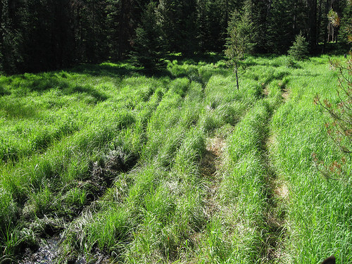 Coalition supports DNR's OHV plans