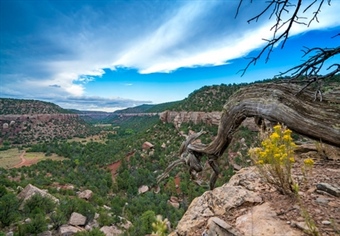 The Fight for Access to New Mexico's Sabinoso Wilderness Continues