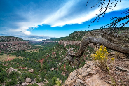 The Fight for Access to New Mexico's Sabinoso Wilderness Continues