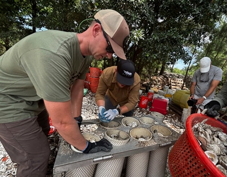 Veterans Give Back Through Chesapeake Bay Oyster Restoration