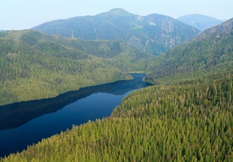 Forest Service Moves to Open Development in Alaska Roadless Area