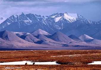 Sportsmen Urge Senate to Reject Plan to Drill Arctic Refuge