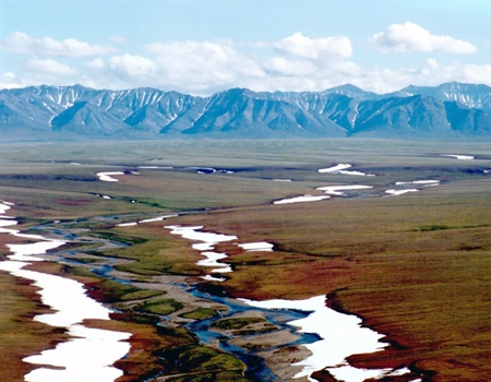 Senate Votes to Allow Arctic Refuge Drilling Despite Pushback from Sportsmen