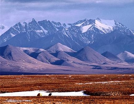 BHA Poll Shows Strong Public Opposition to Drilling in the Arctic National Wildlife Refuge