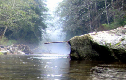 Elliott State Forest to Remain Publicly Accessible
