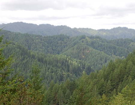 BHA Urges Innovation to Keep Elliott State Forest Publicly Accessible
