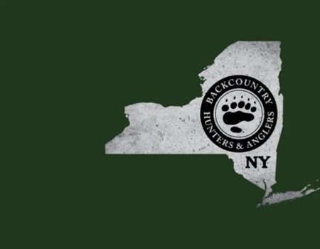 NY BHA Fall Newsletter