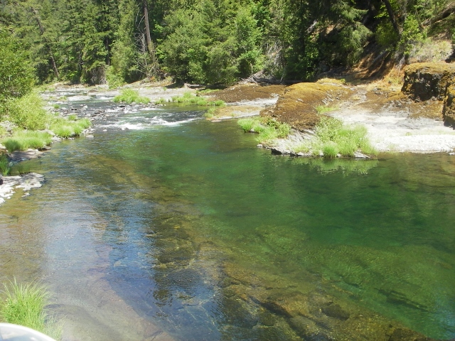 100_Fish_Pool_(1)_(640x480).jpg