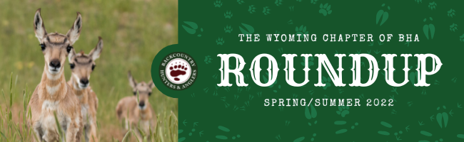 1_Roundup_Banner_June_2022.png