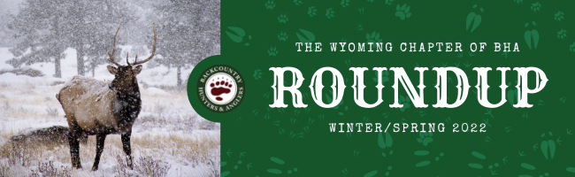 1_Roundup_Banner_March_2022.png