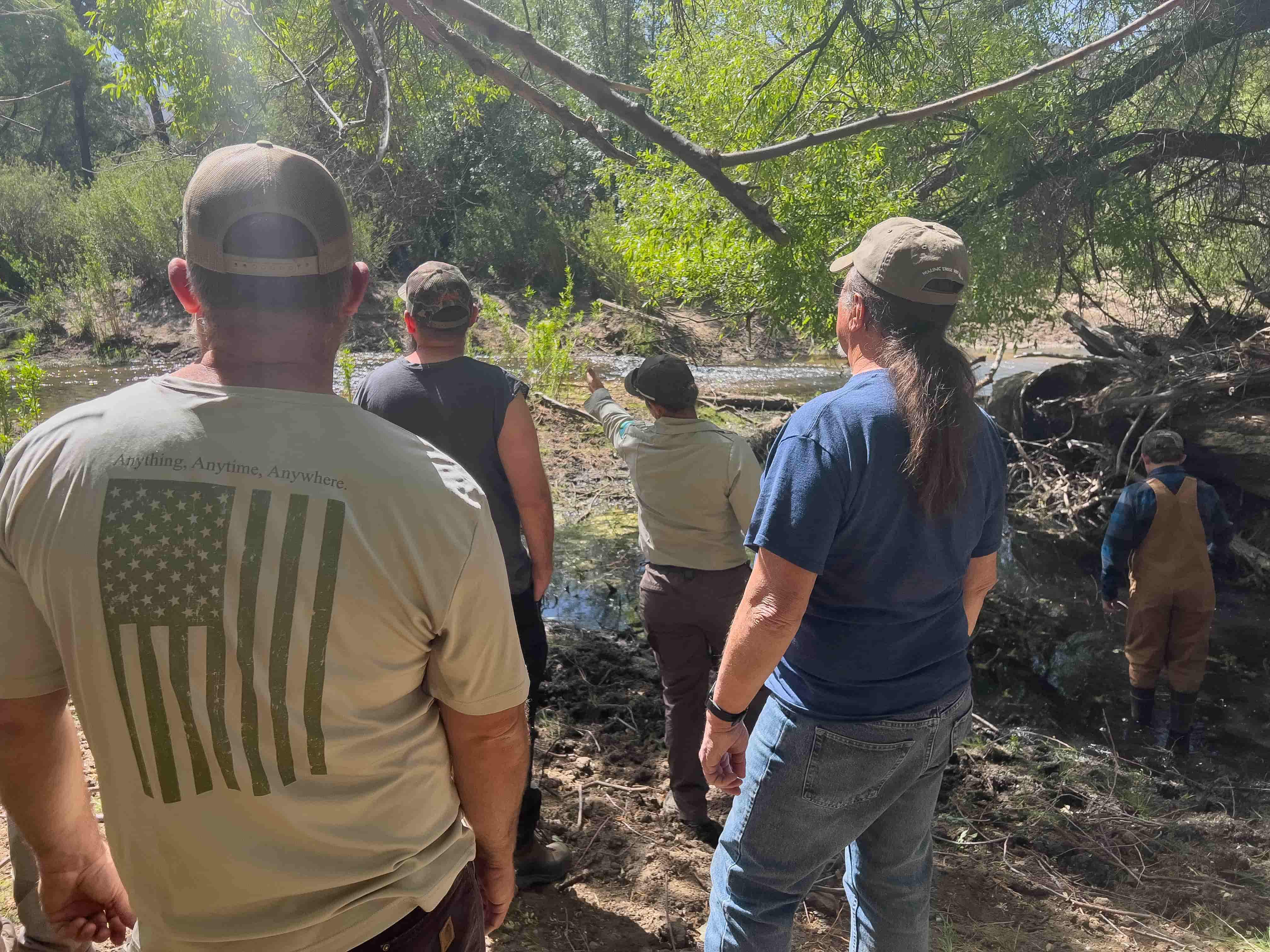 Kern river BLM habitat project