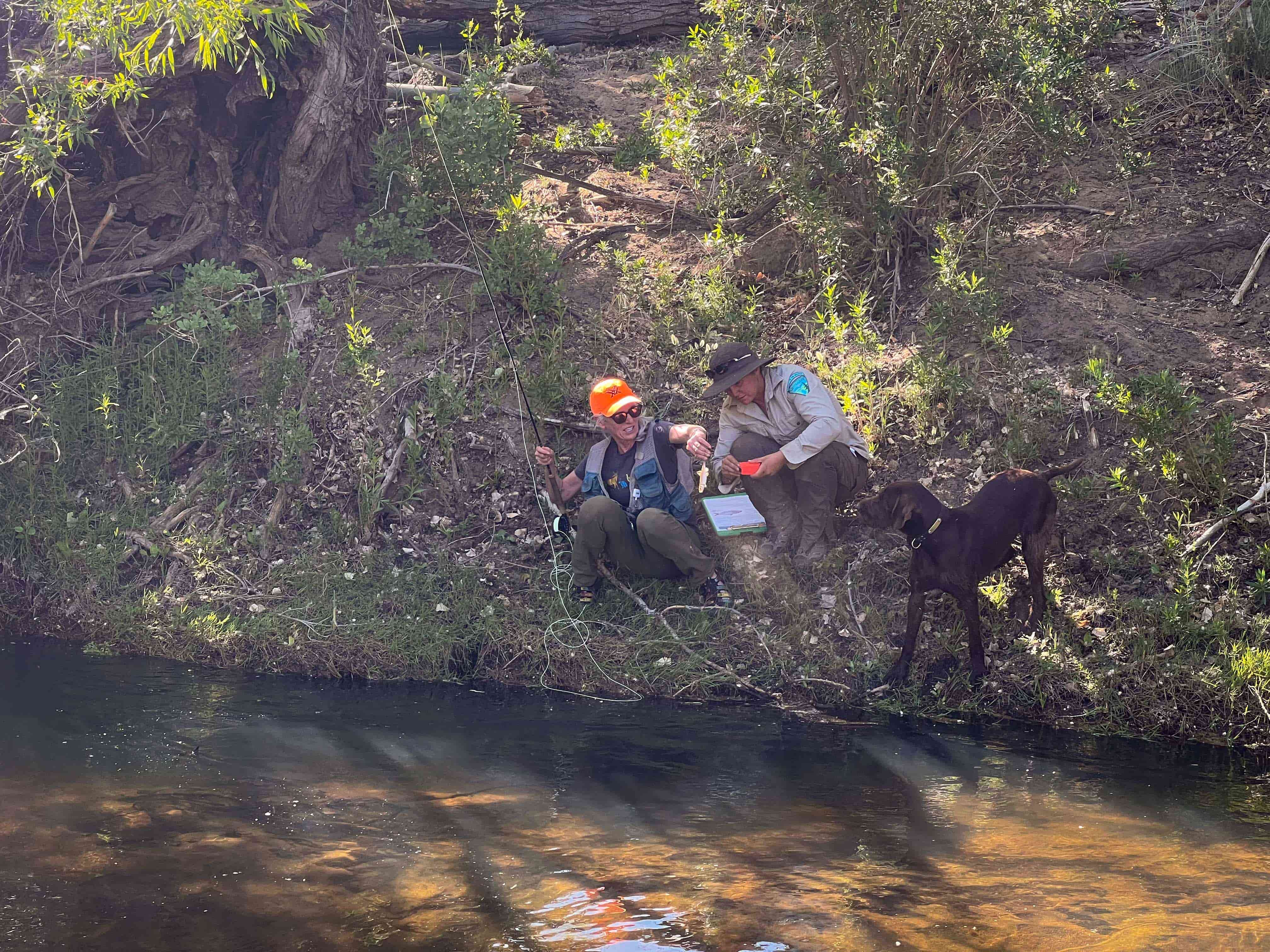 Fisheries data for BLM kern river