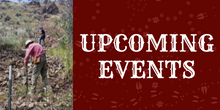 2_Roundup_Events.png