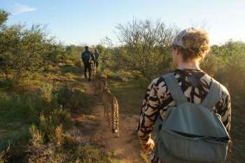 African-Hunting