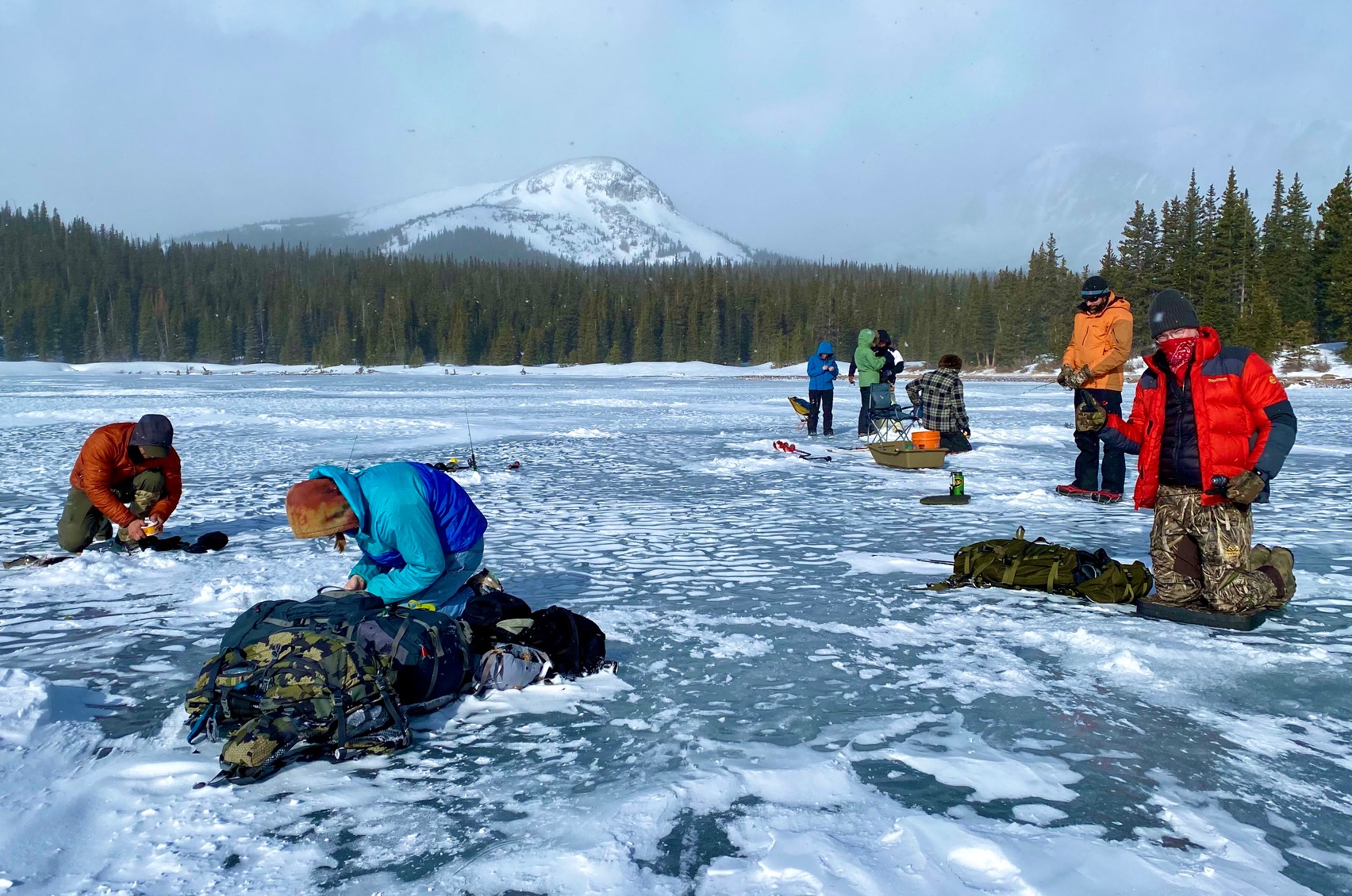 BHA_icefish_Mar22_2.jpg