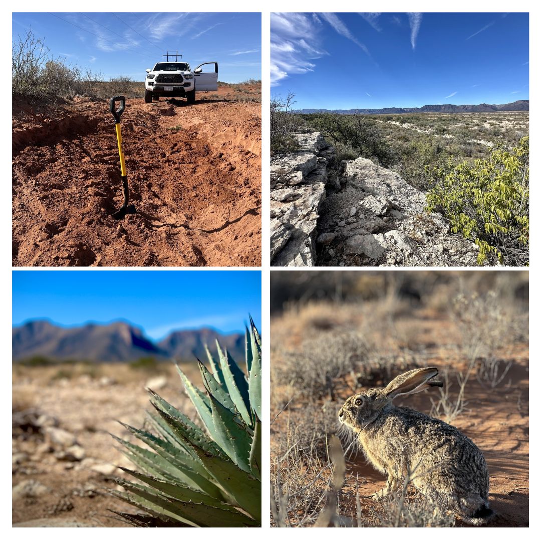 BLM_Carlsbad_collage.jpg