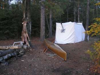 BWCA Deer