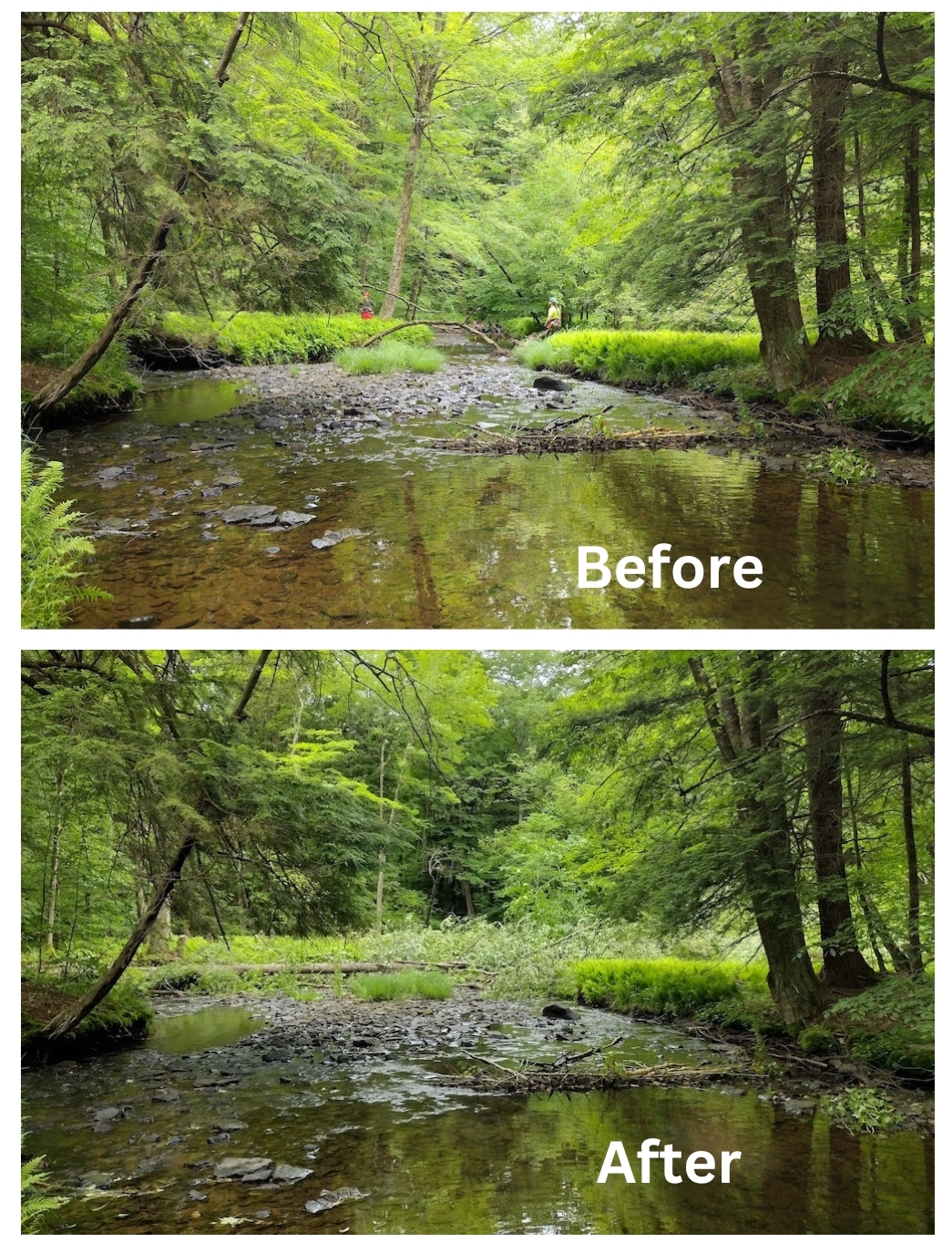 Before_and_after_stream_pic.jpg
