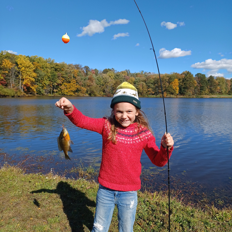 Bluegill___1_copy.jpeg