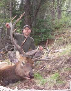 Brad Brooks Bull Elk