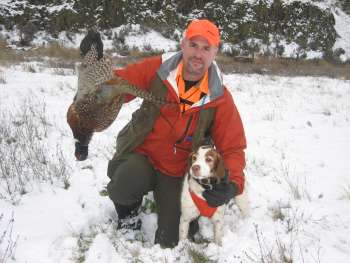 Cal and Rooster 2