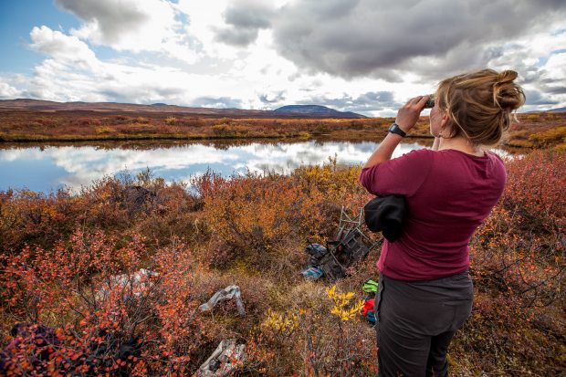 Caribou_bicycle_hunt_03.jpg