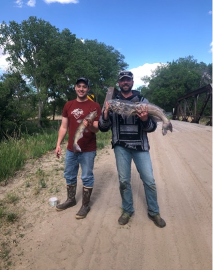 Catfish.jpg