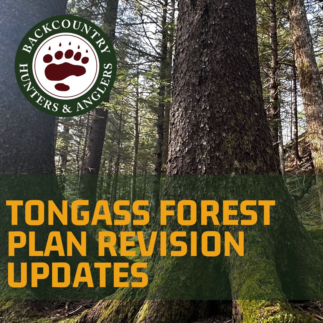 Image says Tongas Forest Plan Revision Updates