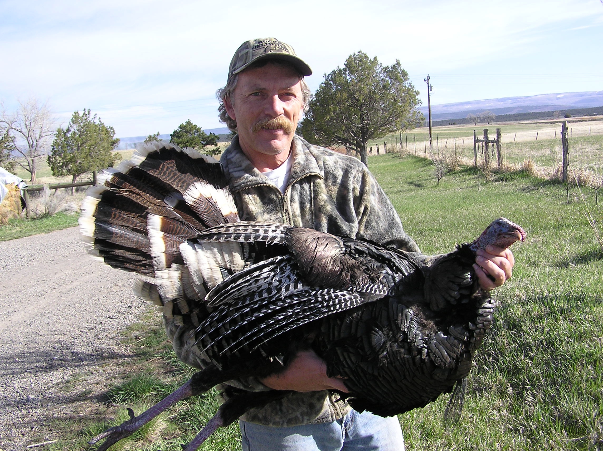Craig_Grother-Turkey.JPG
