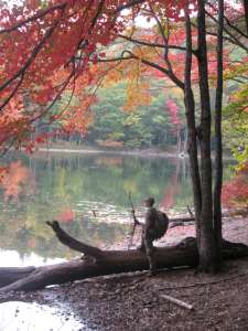 Deer-Hunt-New-England