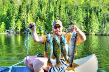 Gorka BWCA