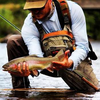 Jeremy  Egbert-Dry fly sniper
