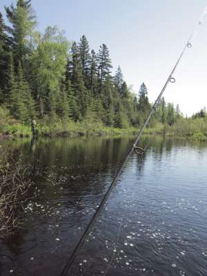Minnesota fishing