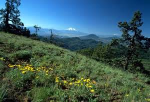 OREGON