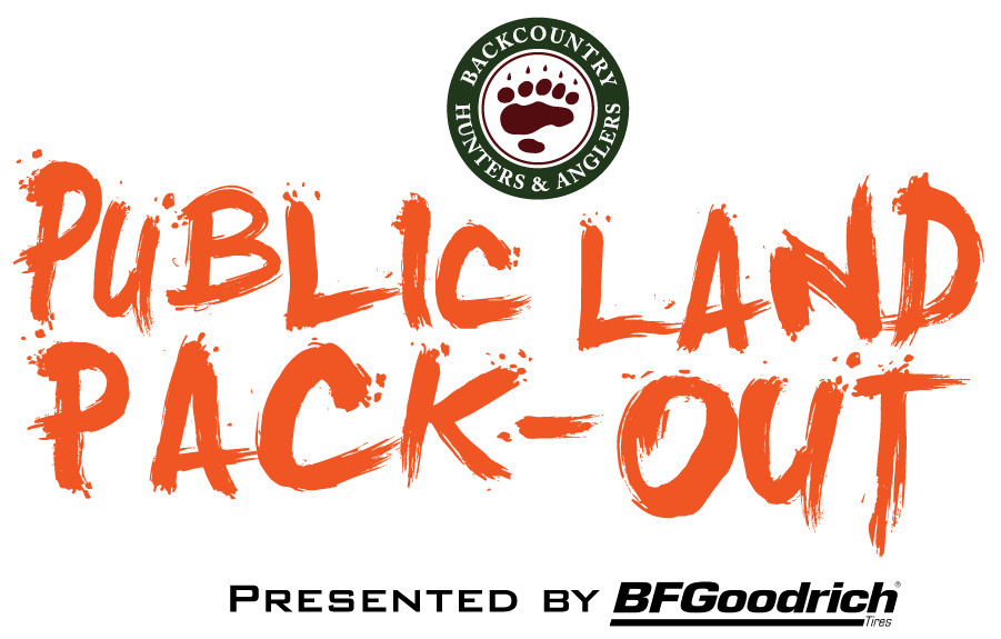 PLPO_logo-2022-BFGoodrich-Orange.png