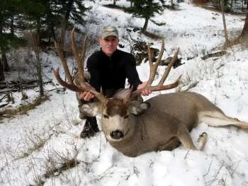 Pecos deer