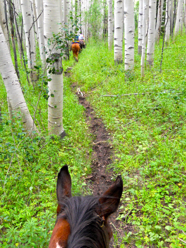 Thompson Divide-L.Lindberg Stevenshorse
