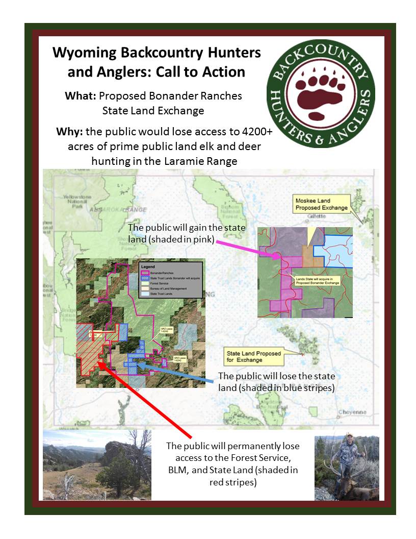 WYBHA_Bonander_Call_to_Action.jpg