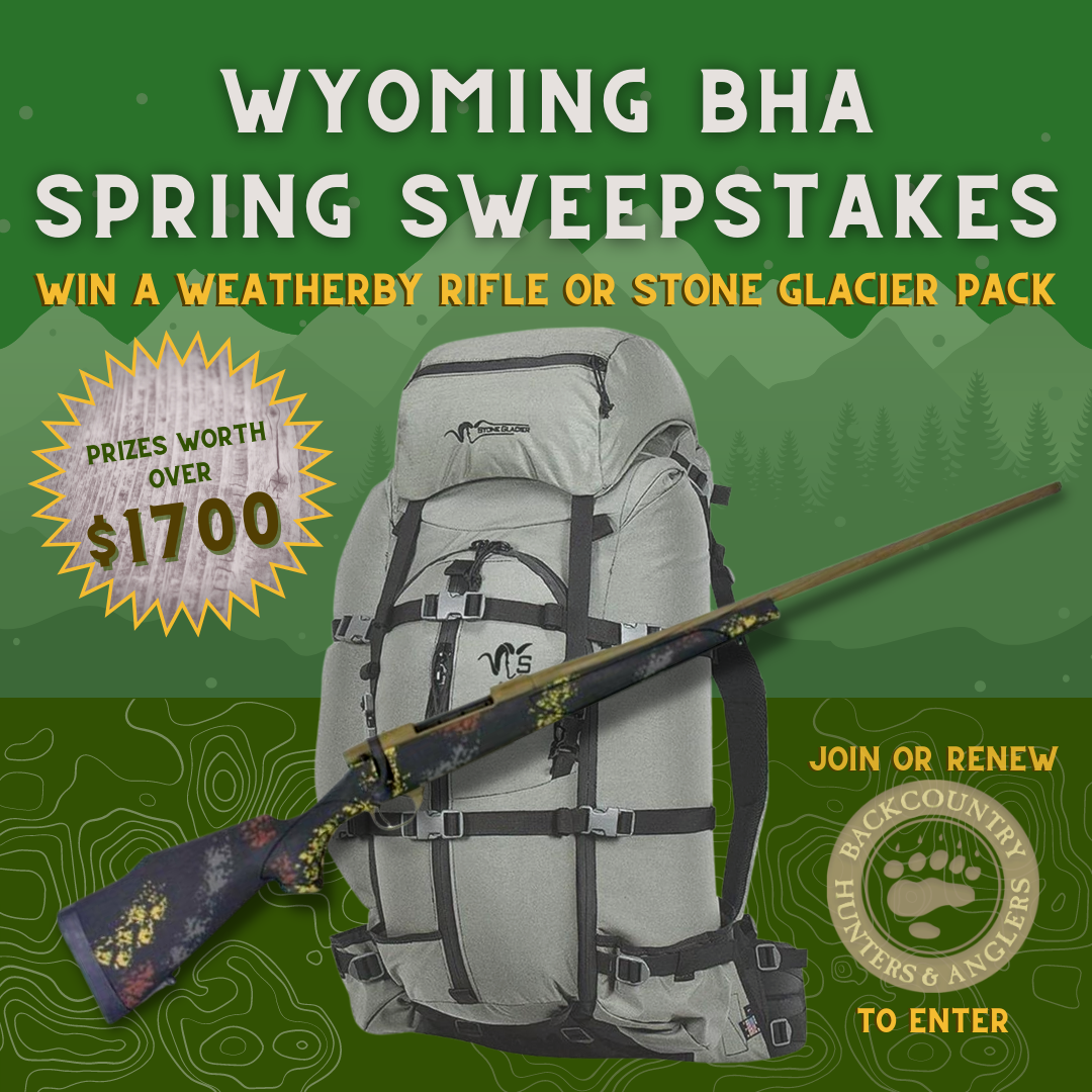 WY_Spring_Sweepstakes_-_IG_Post.png