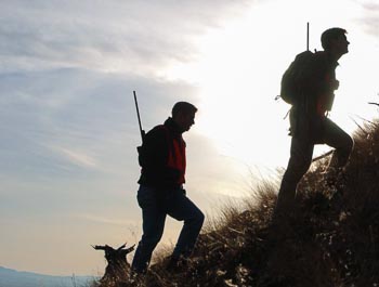a hunt for wild land