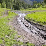 ORV ATV Misuse