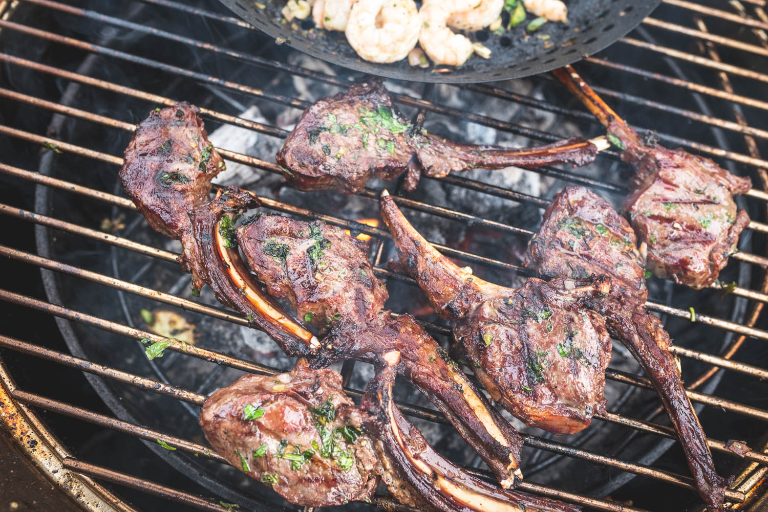 chimi_chops-1253.jpg