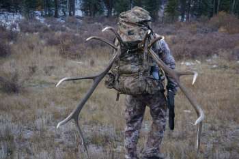 elk-backpacking