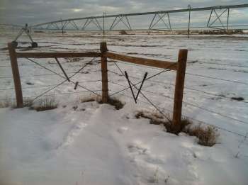 fenceline
