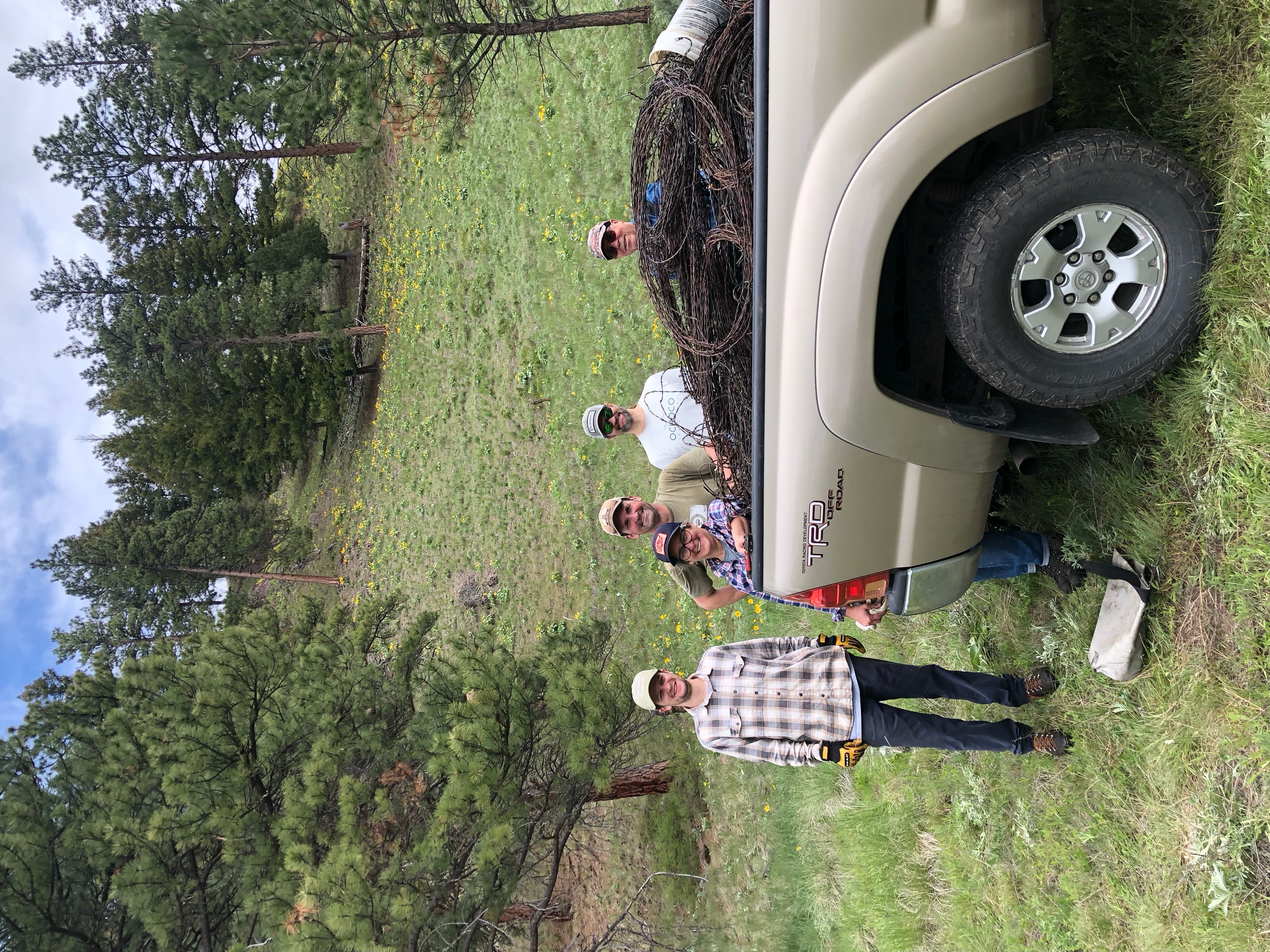 image1_(2).jpeg