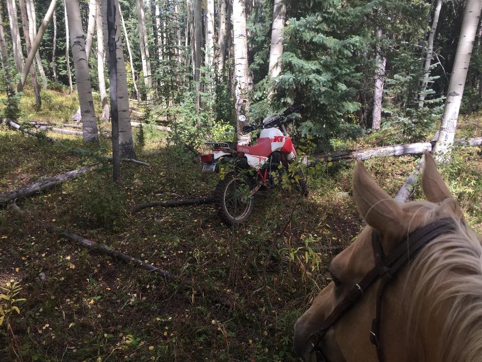 ohv-reward-claimed.jpg