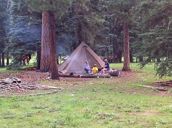 seek outside tent